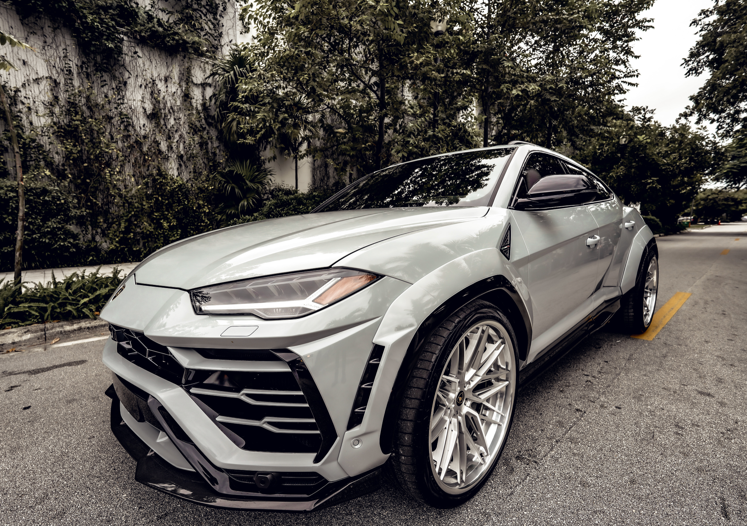 LAMBORGHINI URUS DOVE