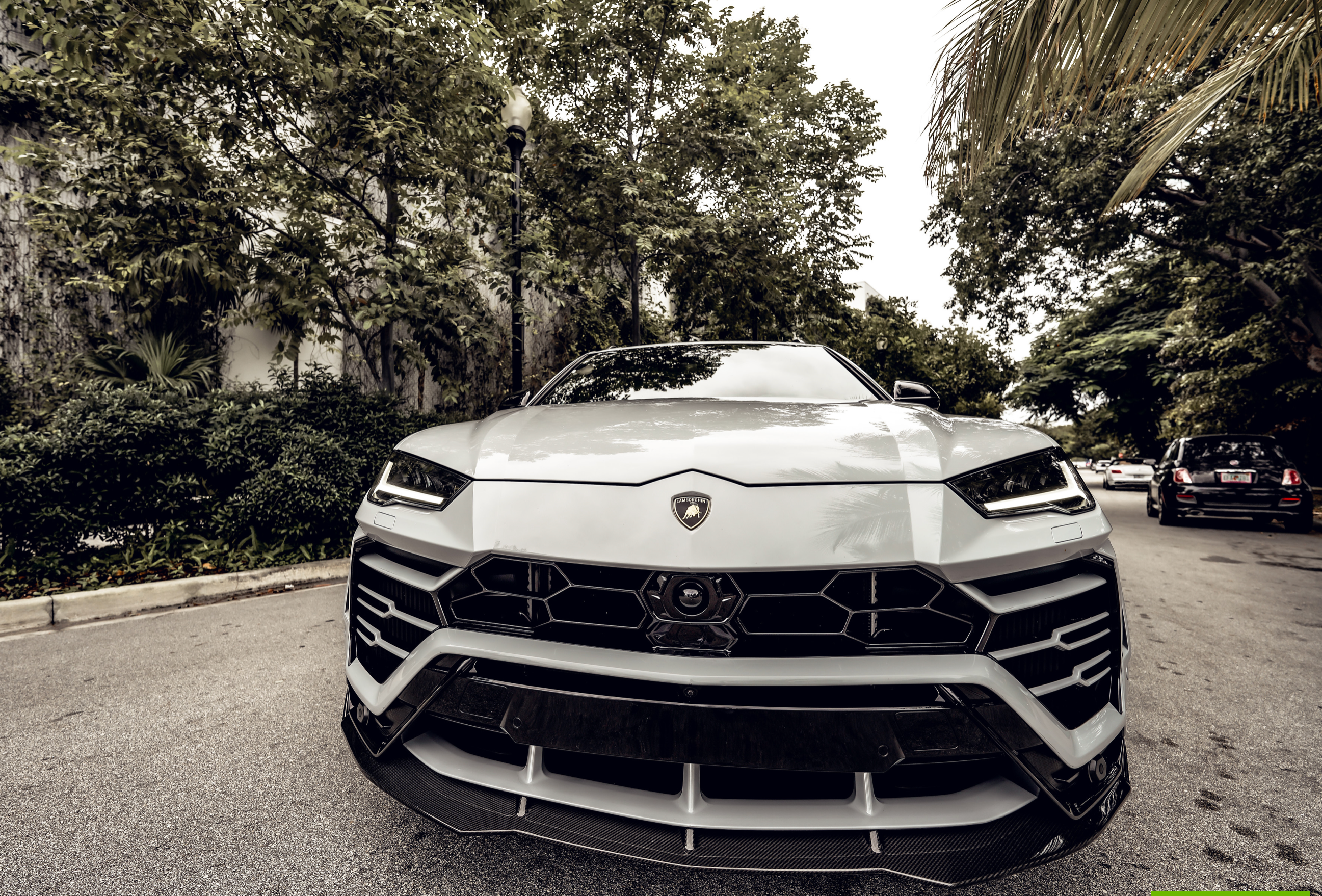 LAMBORGHINI URUS DOVE