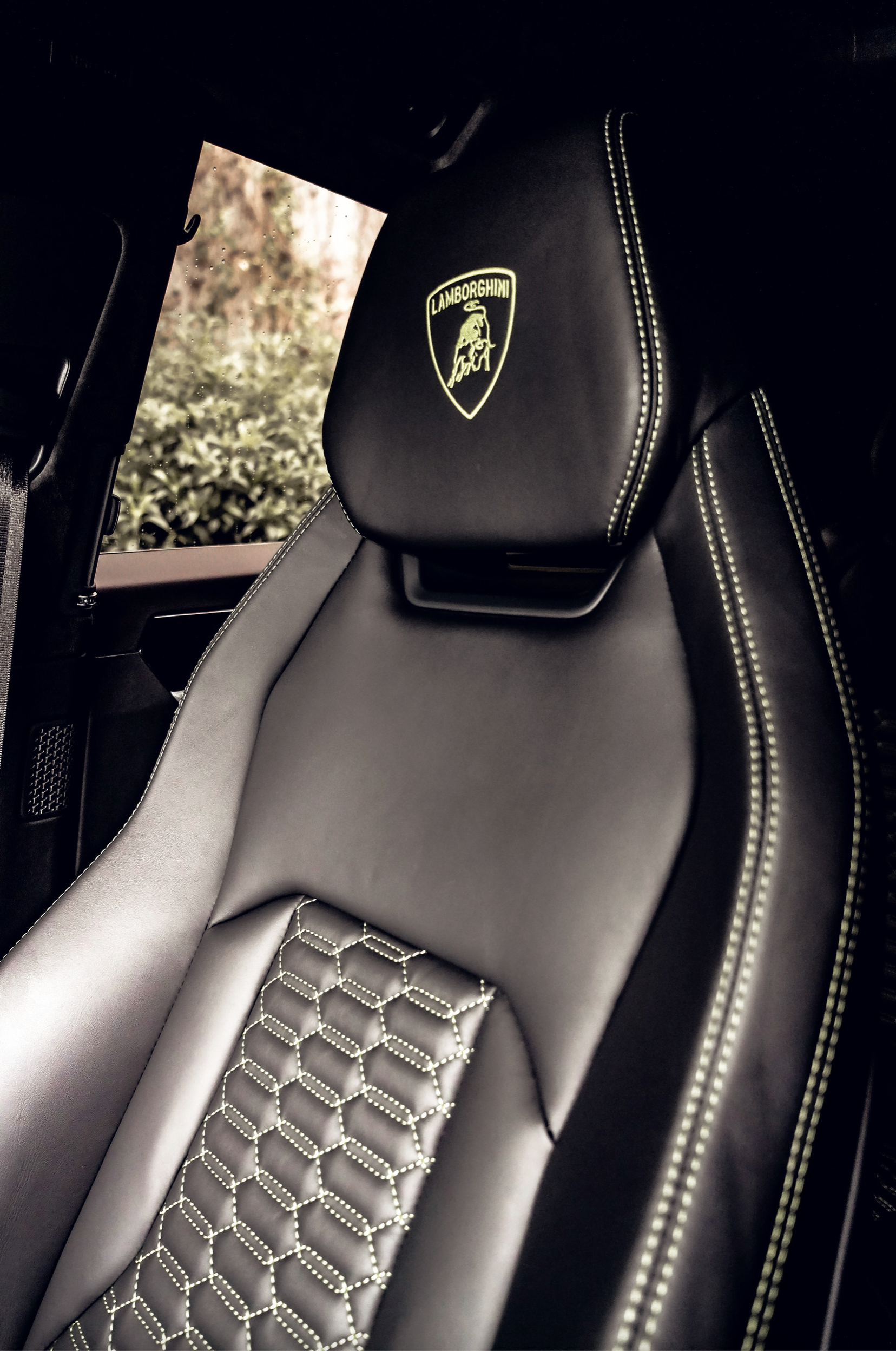 LAMBORGHINI URUS DOVE