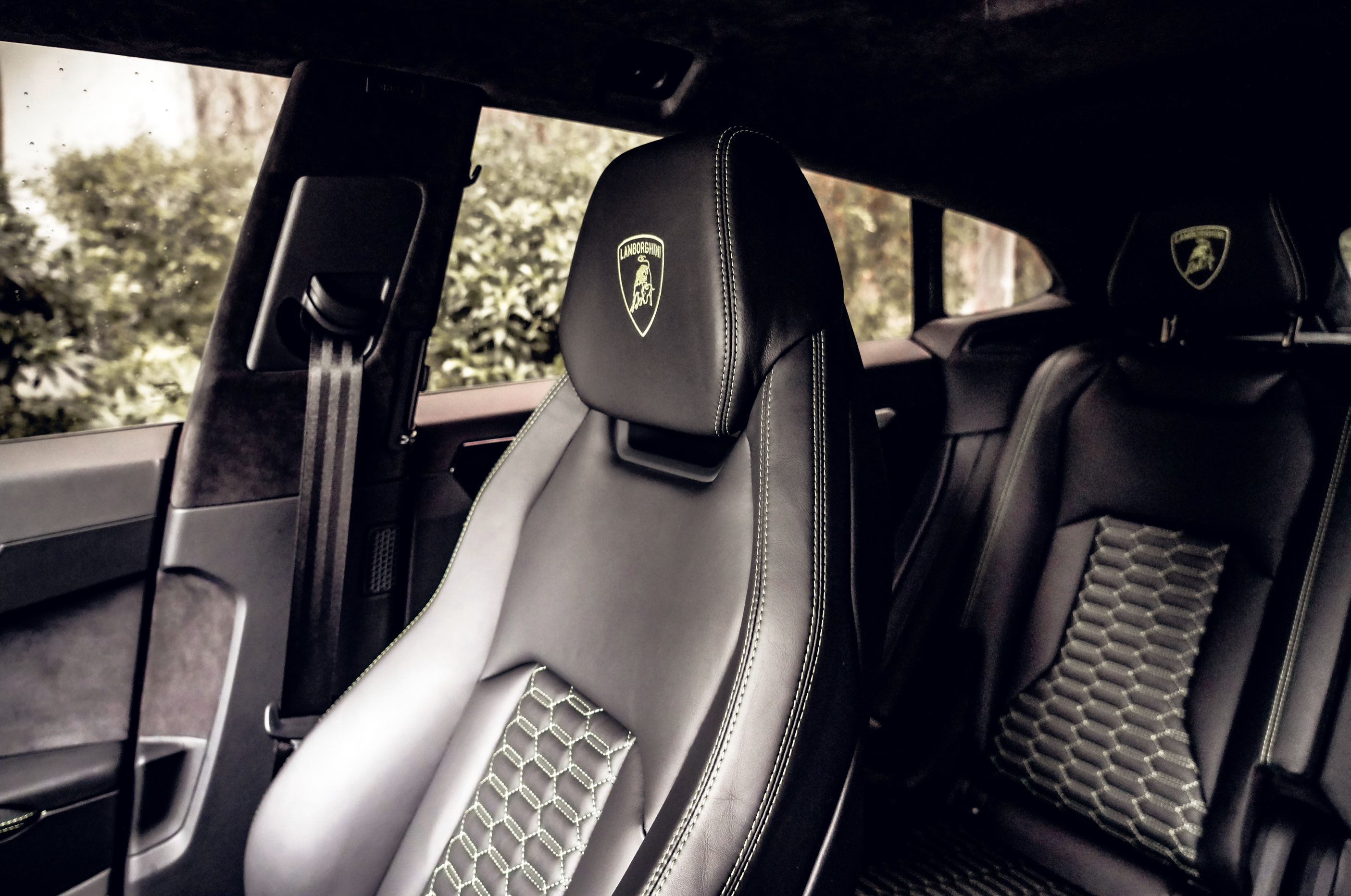LAMBORGHINI URUS DOVE