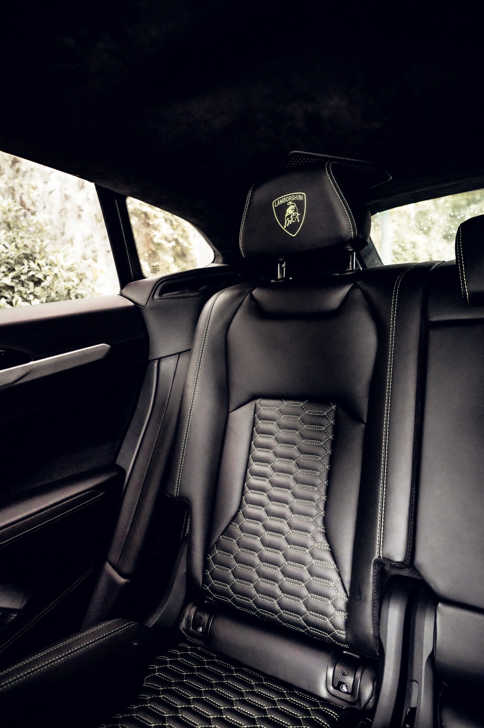 LAMBORGHINI URUS DOVE