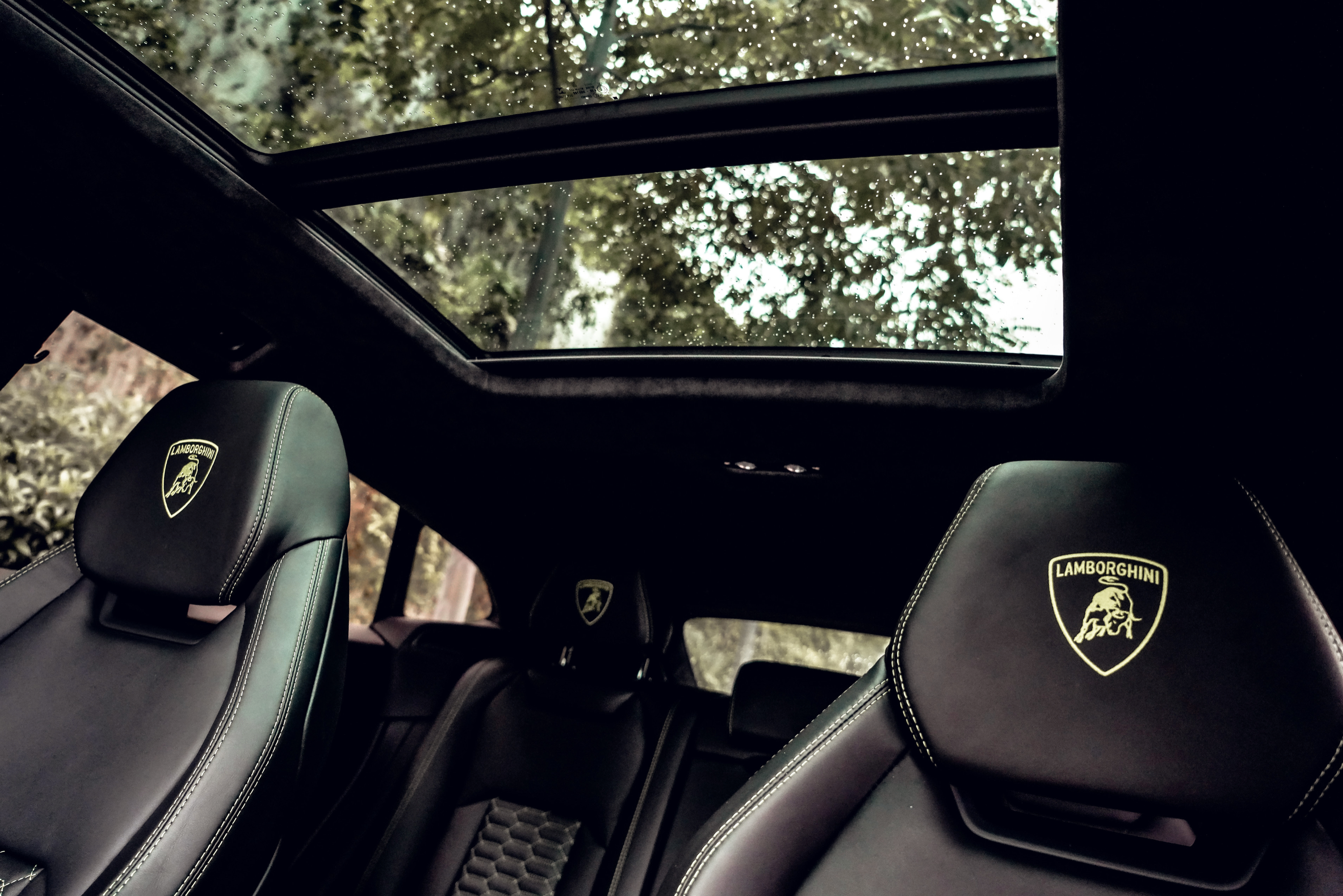 LAMBORGHINI URUS DOVE