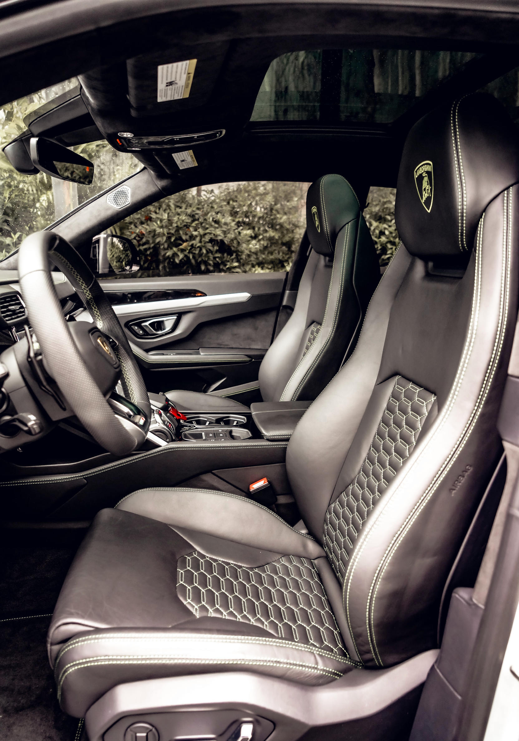 LAMBORGHINI URUS DOVE