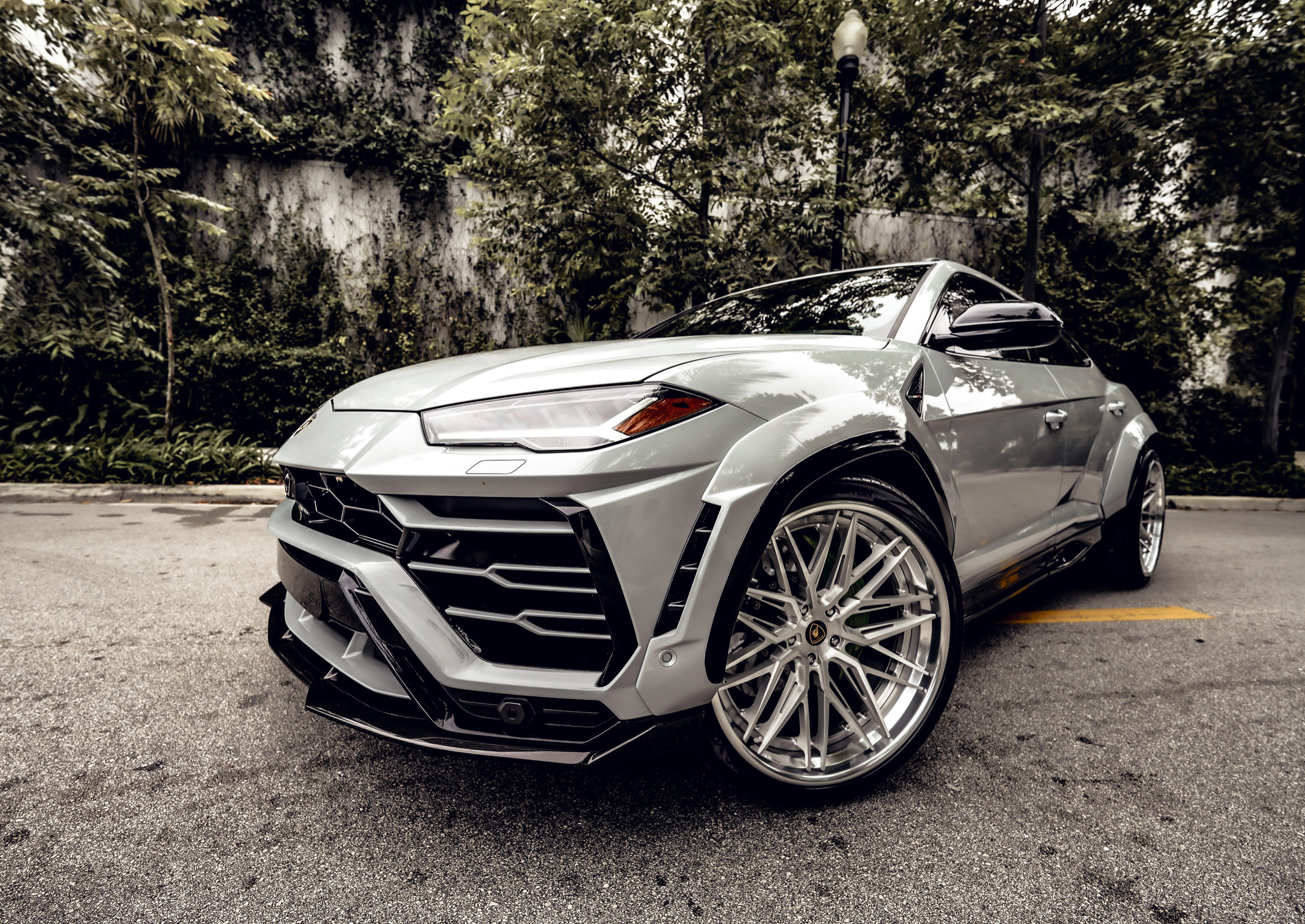 LAMBORGHINI URUS DOVE 