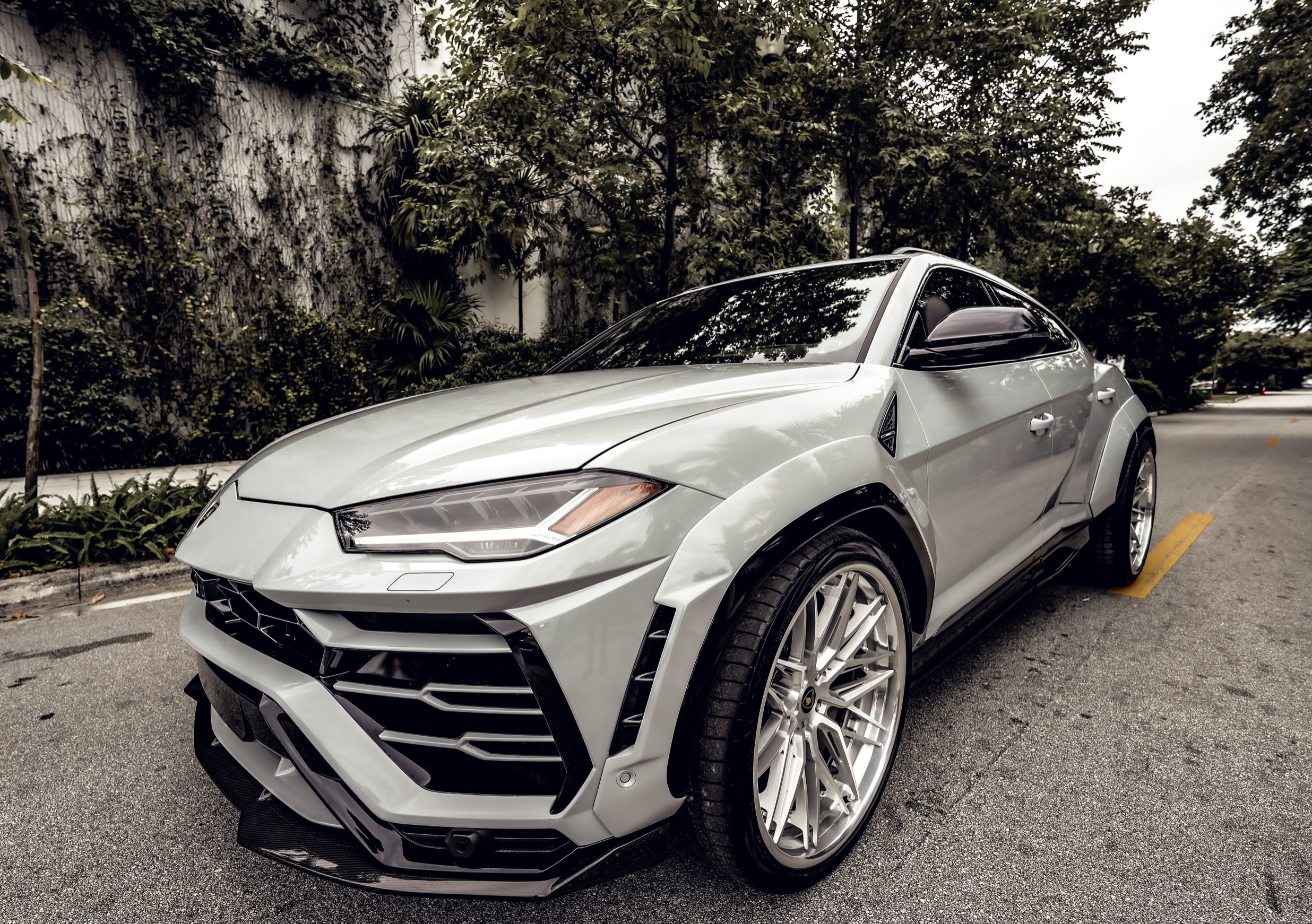 LAMBORGHINI URUS DOVE 