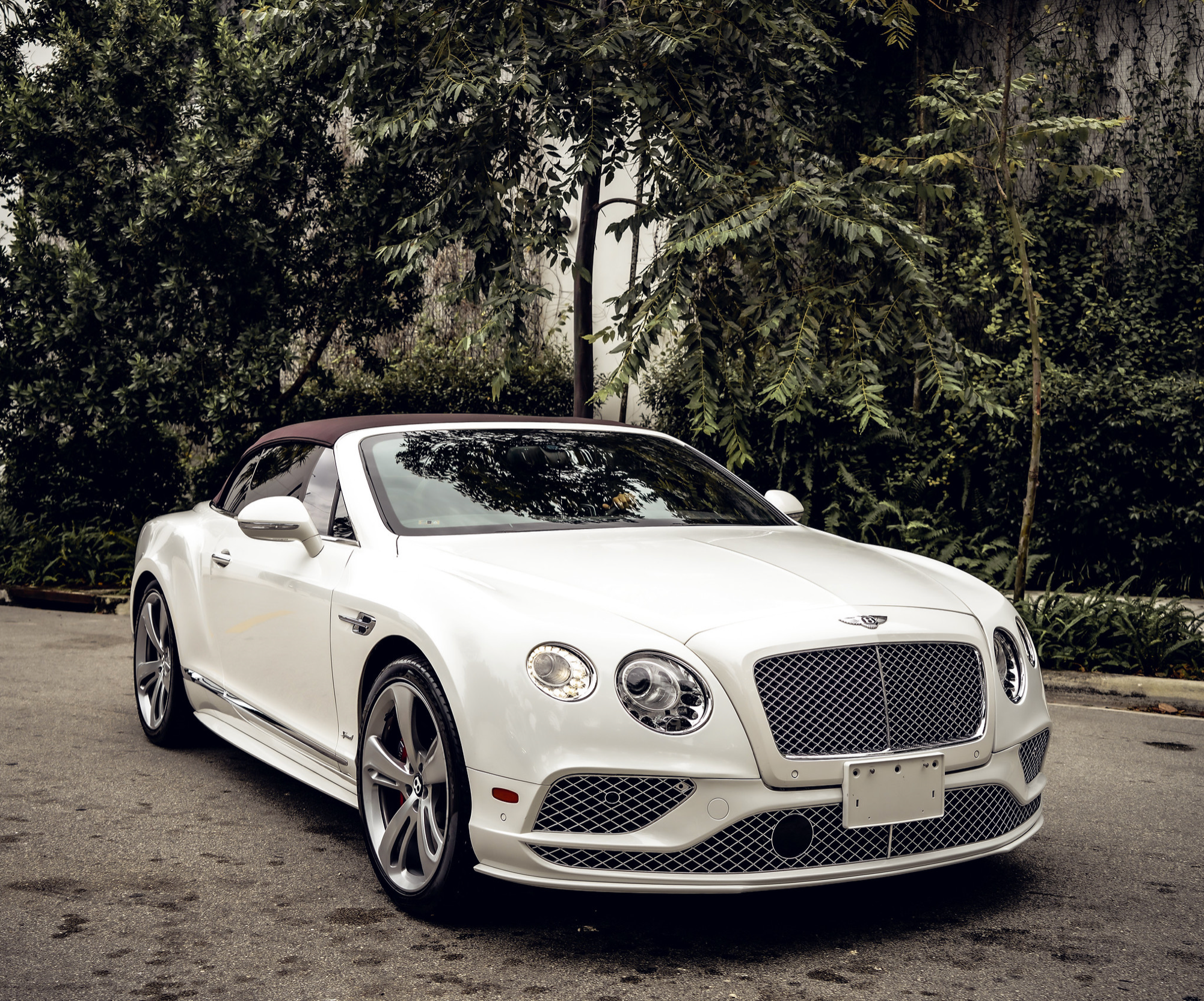 BENTLEY GTC SPEED V12