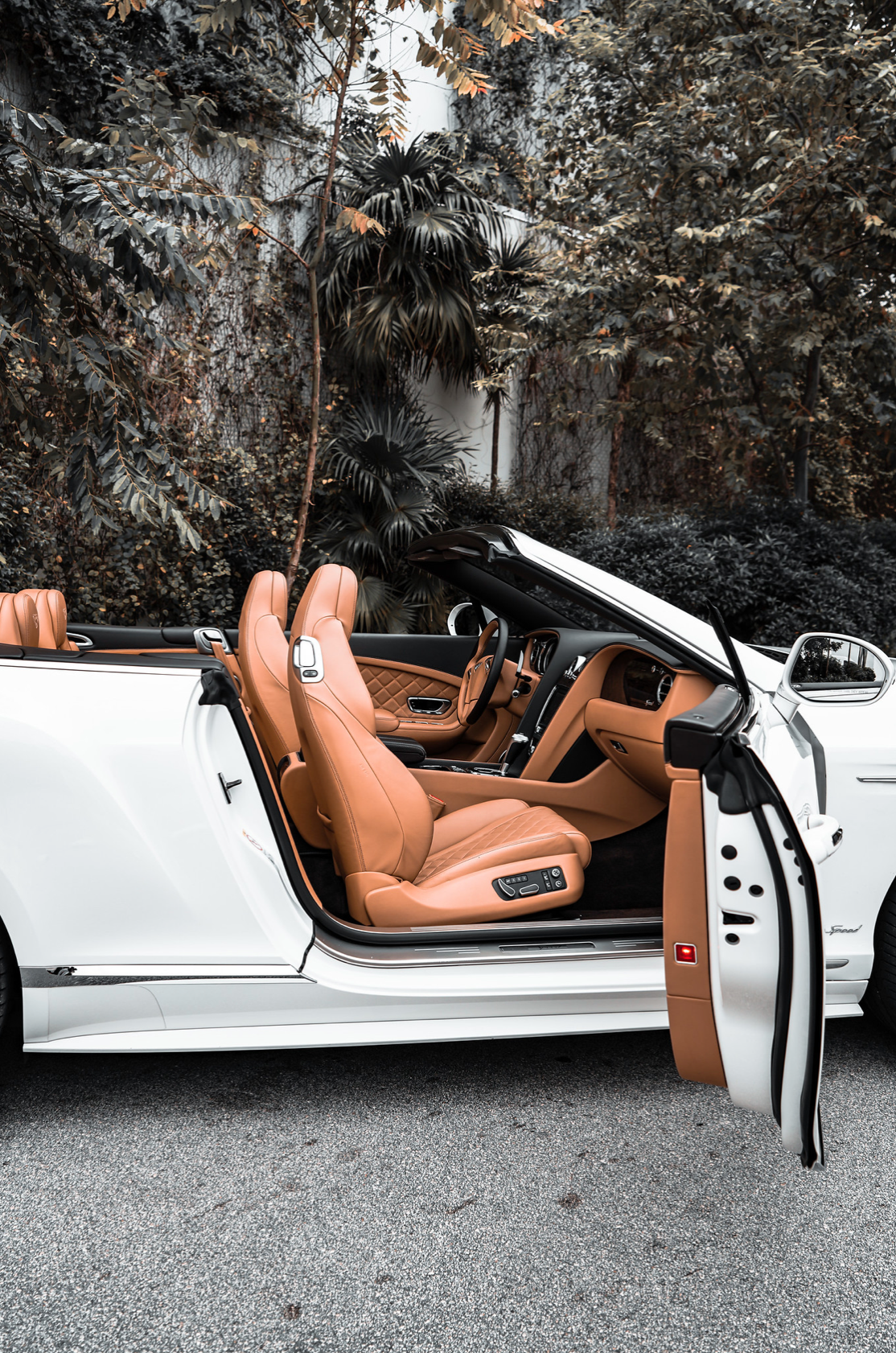 BENTLEY GTC SPEED V12