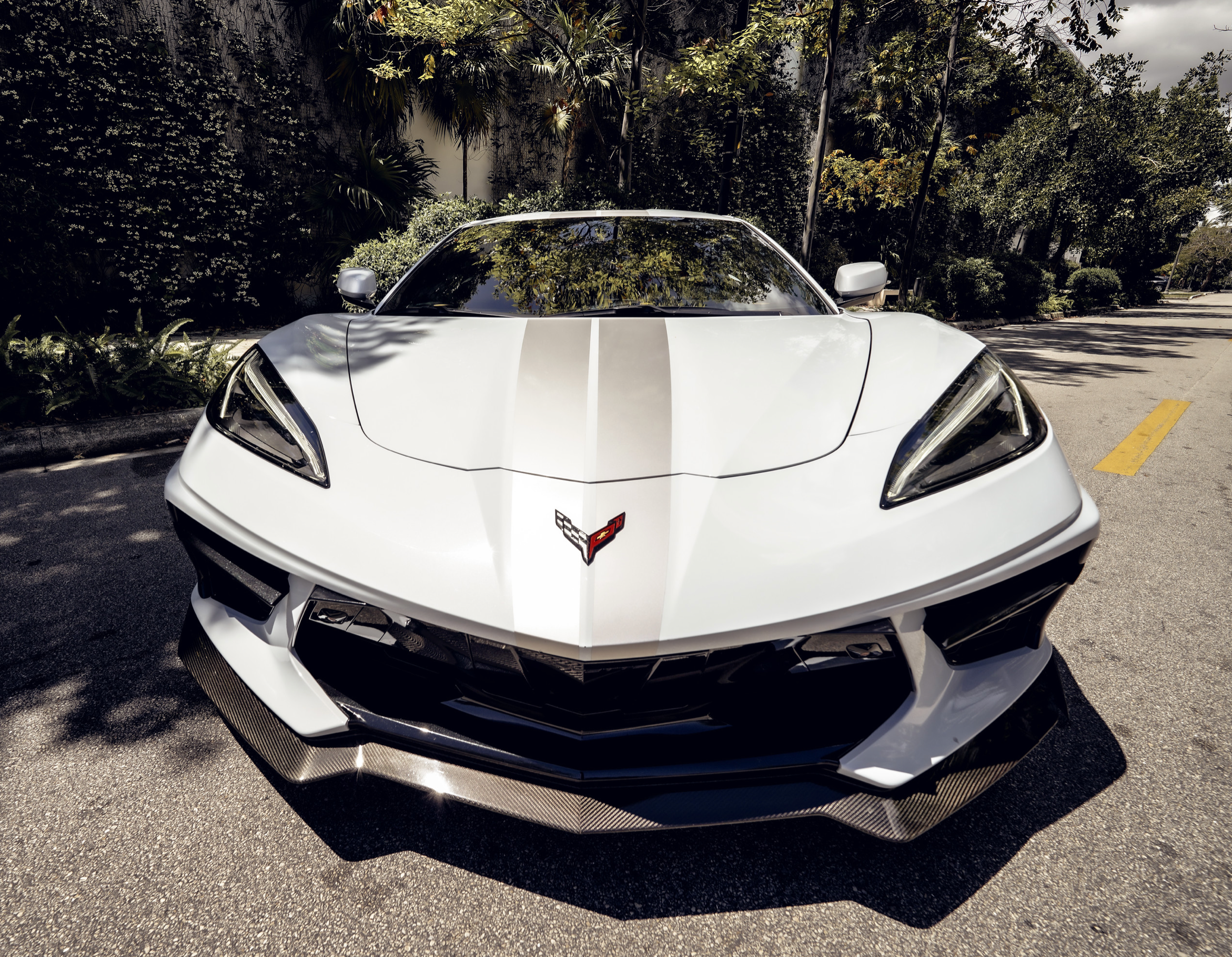 CORVETTE C8 WHITE