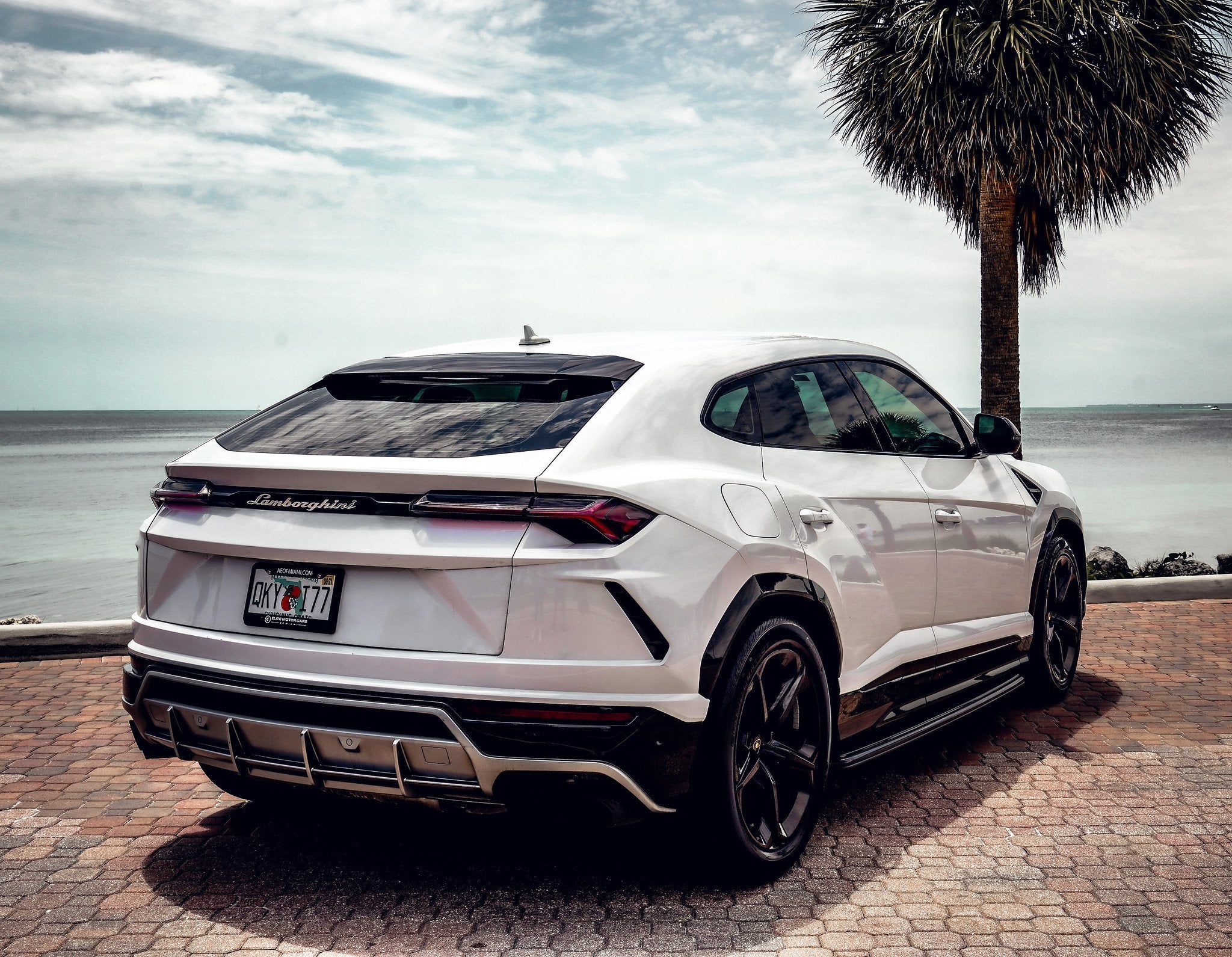 Lamborghini Urus - White