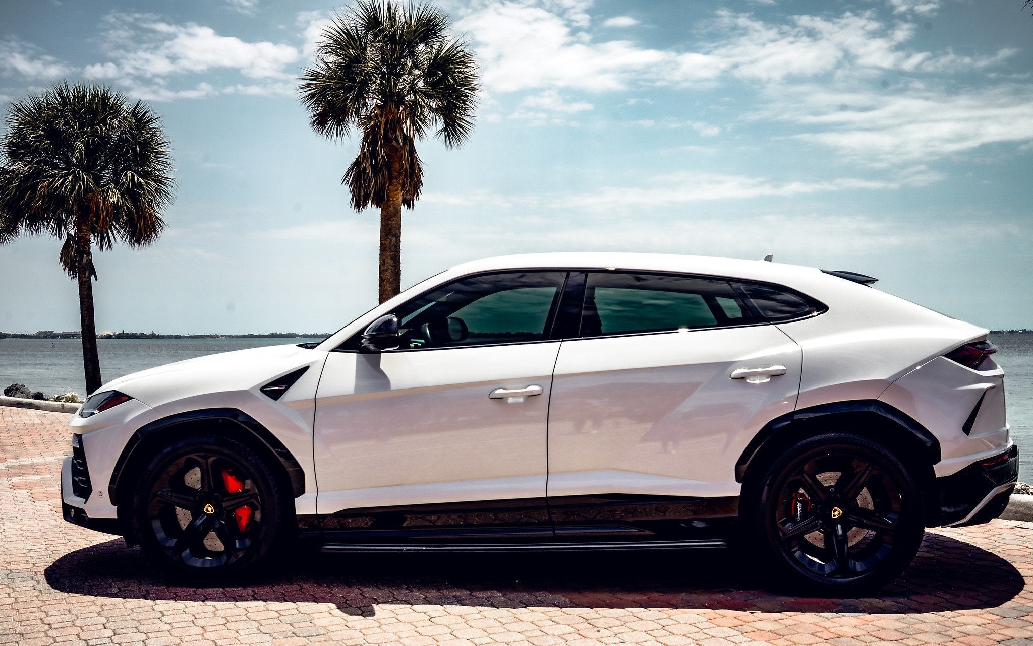 Lamborghini Urus - White