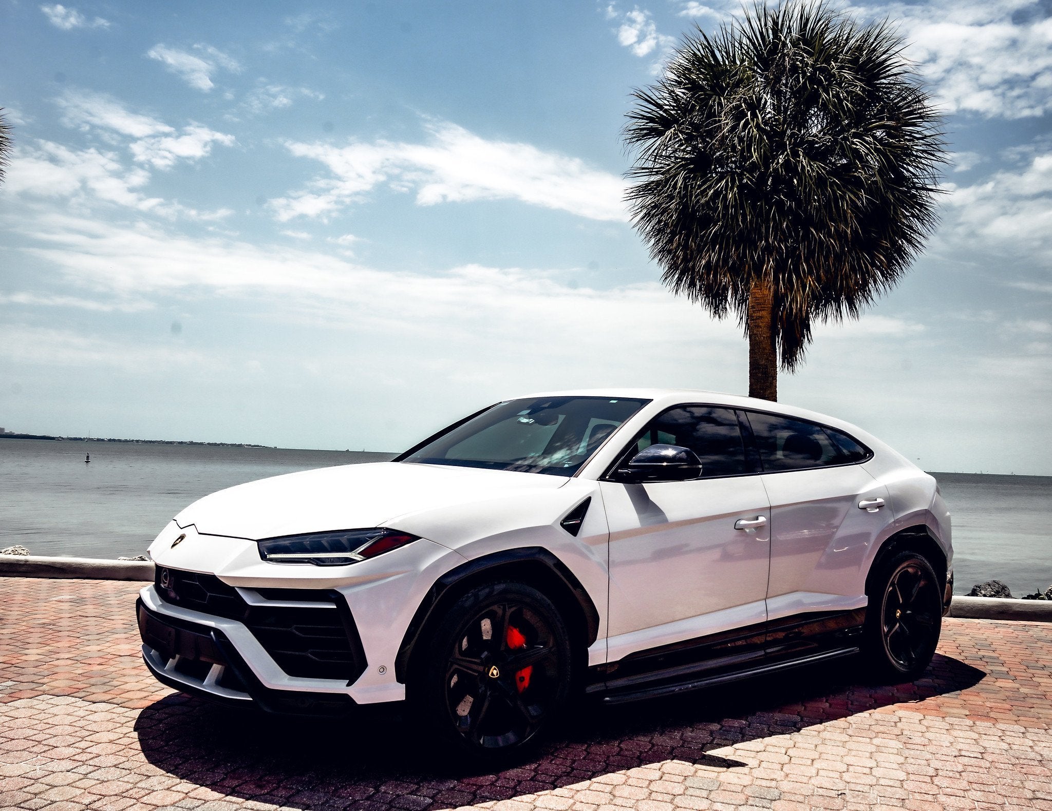 Lamborghini Urus - White