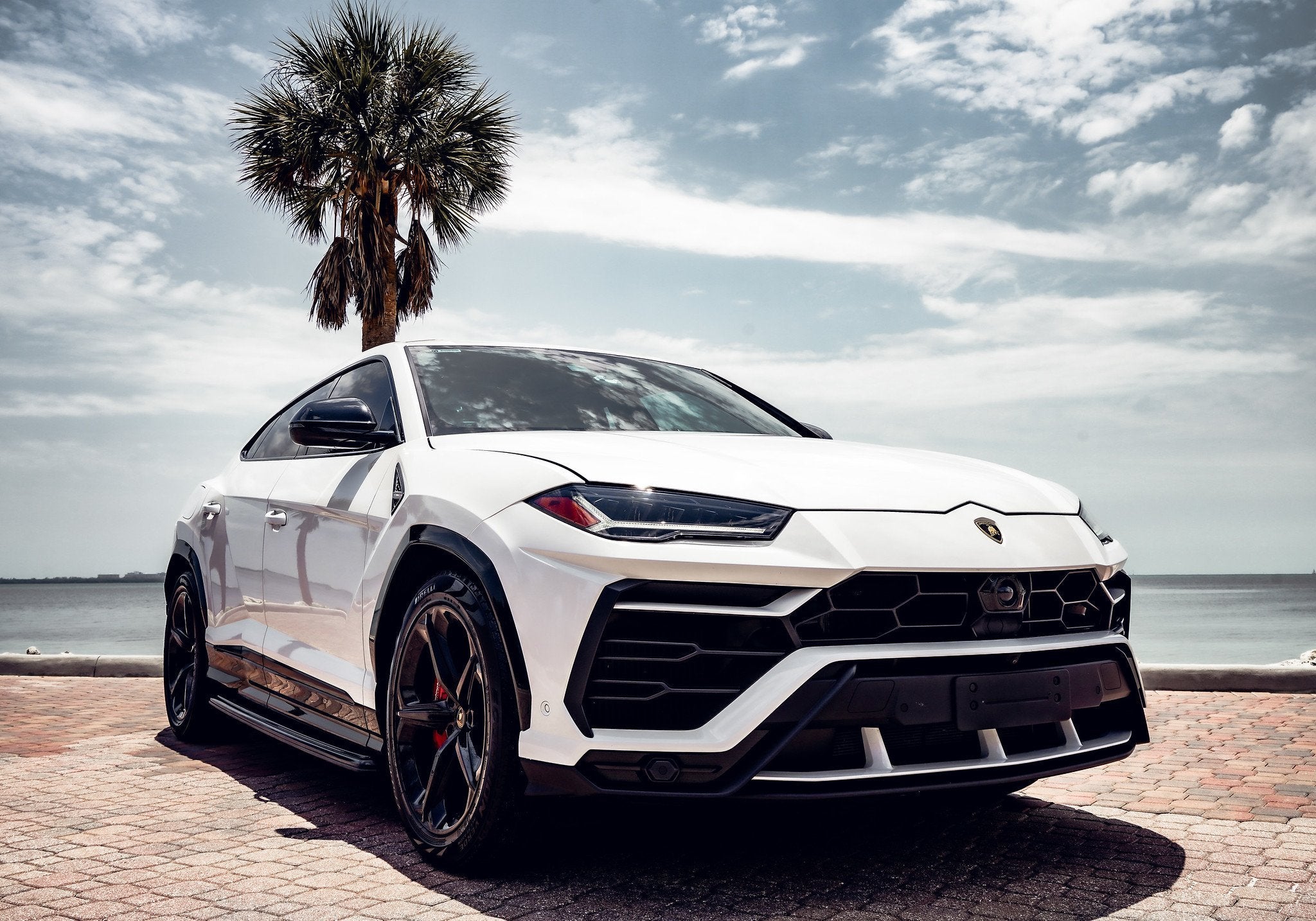 Lamborghini Urus - White