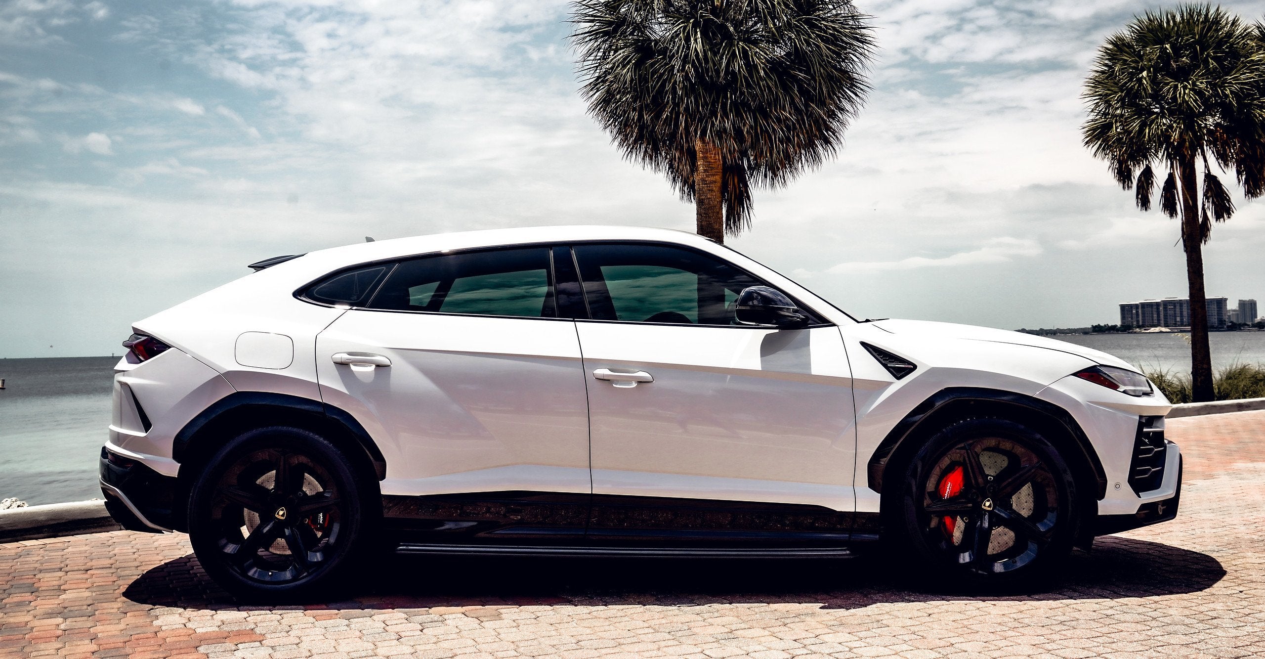 Lamborghini Urus - White